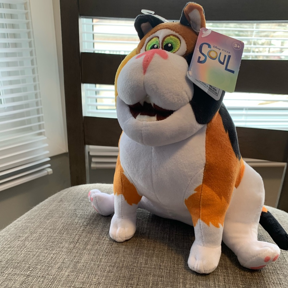 Disney Soul - Paul as the cat plush